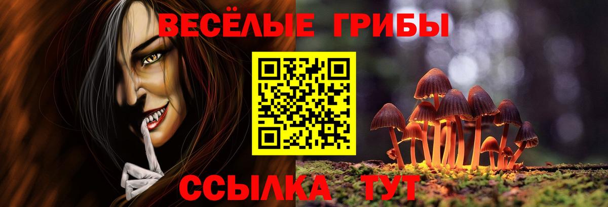 Псилоцибиновые грибы мухоморы Вышний Волочёк