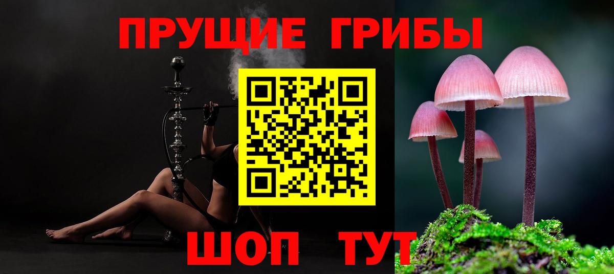 Вышний Волочёк  Галлюциногенные грибы MAGIC MUSHROOMS  Вход с VPN  Псилоцибиновые грибы Cubensis 
